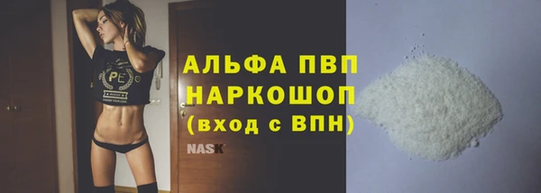 a pvp Аркадак