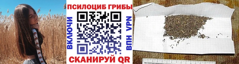 цена   Тюкалинск  Галлюциногенные грибы Cubensis 