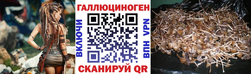 Галлюциногенные грибы ЛСД Тюкалинск